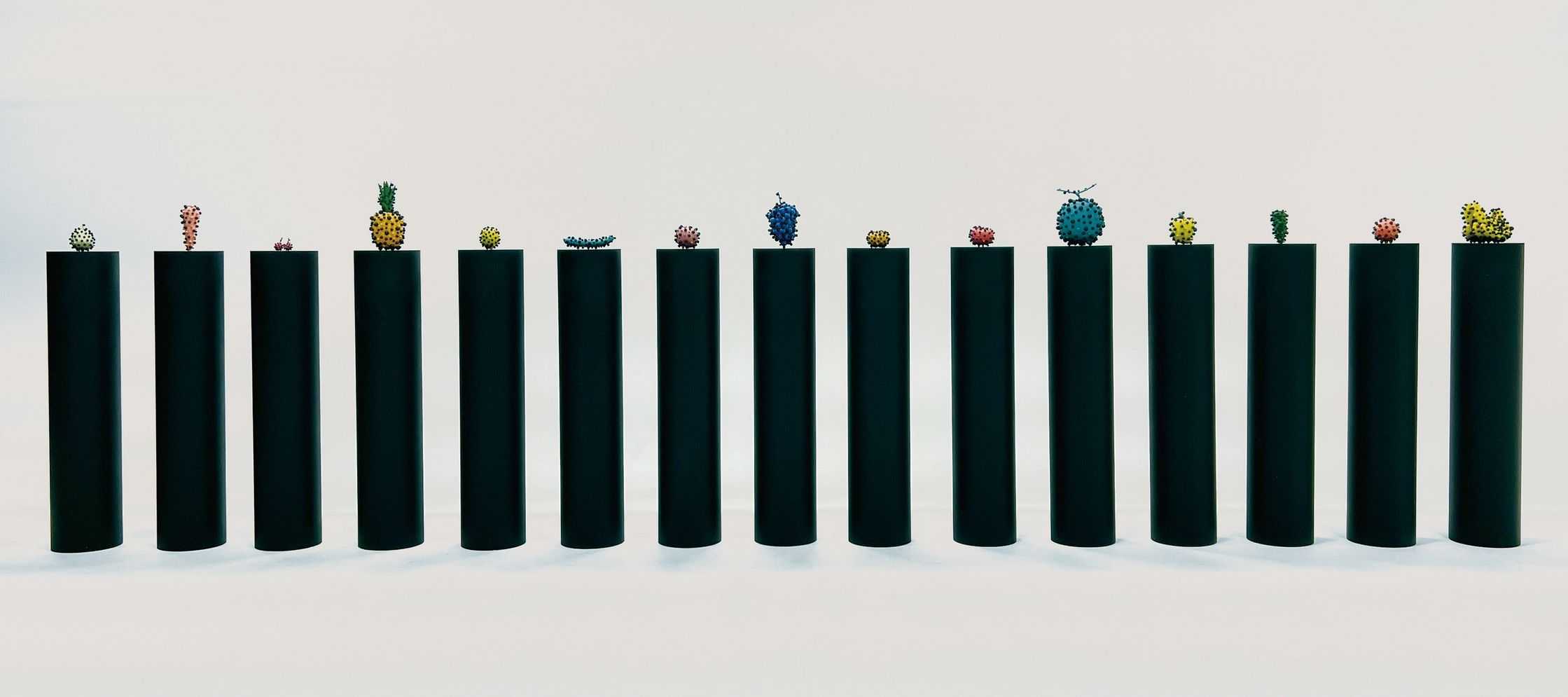 渡邉　泰成 - vegetable skin | 東京藝大アートフェス / TOKYO GEIDAI ARTFESの作品画像 | 0枚目