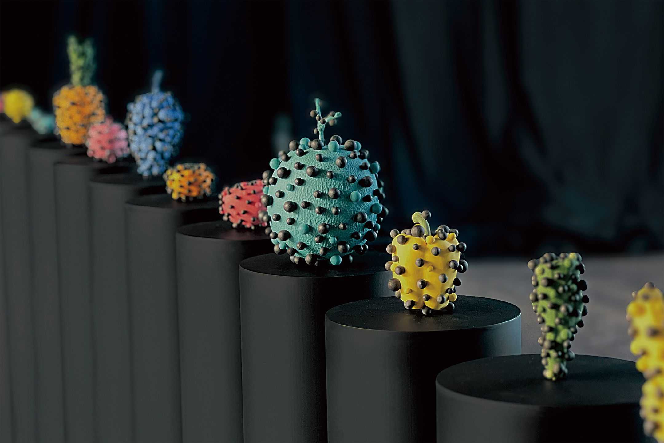 渡邉　泰成 - vegetable skin | 東京藝大アートフェス / TOKYO GEIDAI ARTFESの作品画像 | 1枚目