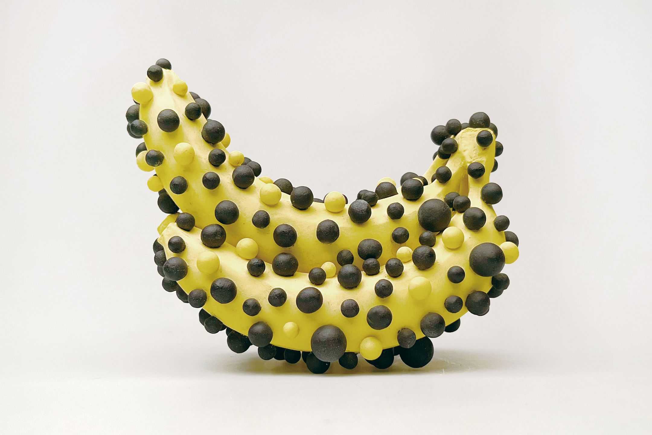 渡邉　泰成 - vegetable skin | 東京藝大アートフェス / TOKYO GEIDAI ARTFESの作品画像 | 2枚目