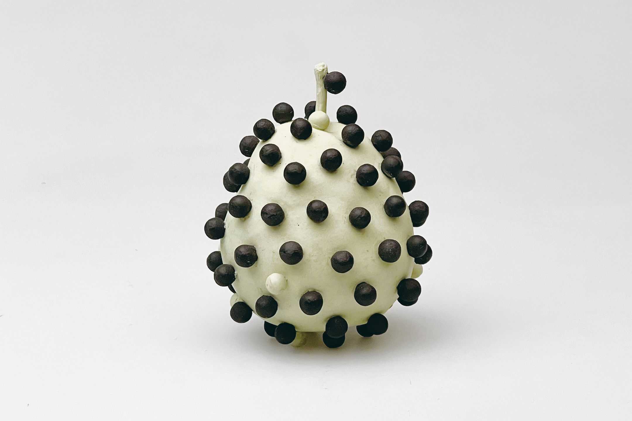 渡邉　泰成 - vegetable skin | 東京藝大アートフェス / TOKYO GEIDAI ARTFESの作品画像 | 3枚目