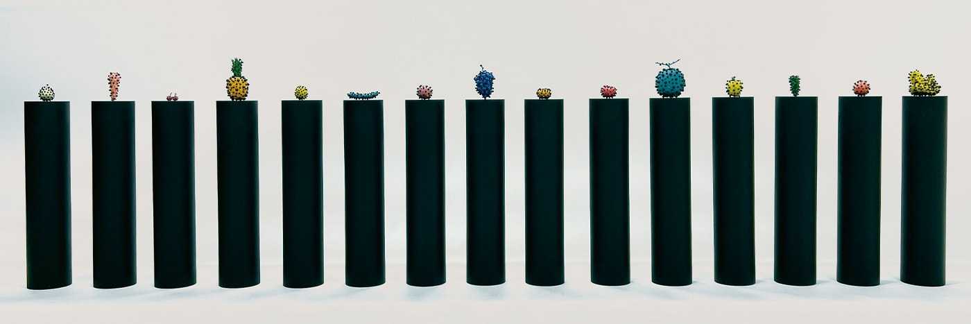 vegetable skin by WATANABE TAISEI