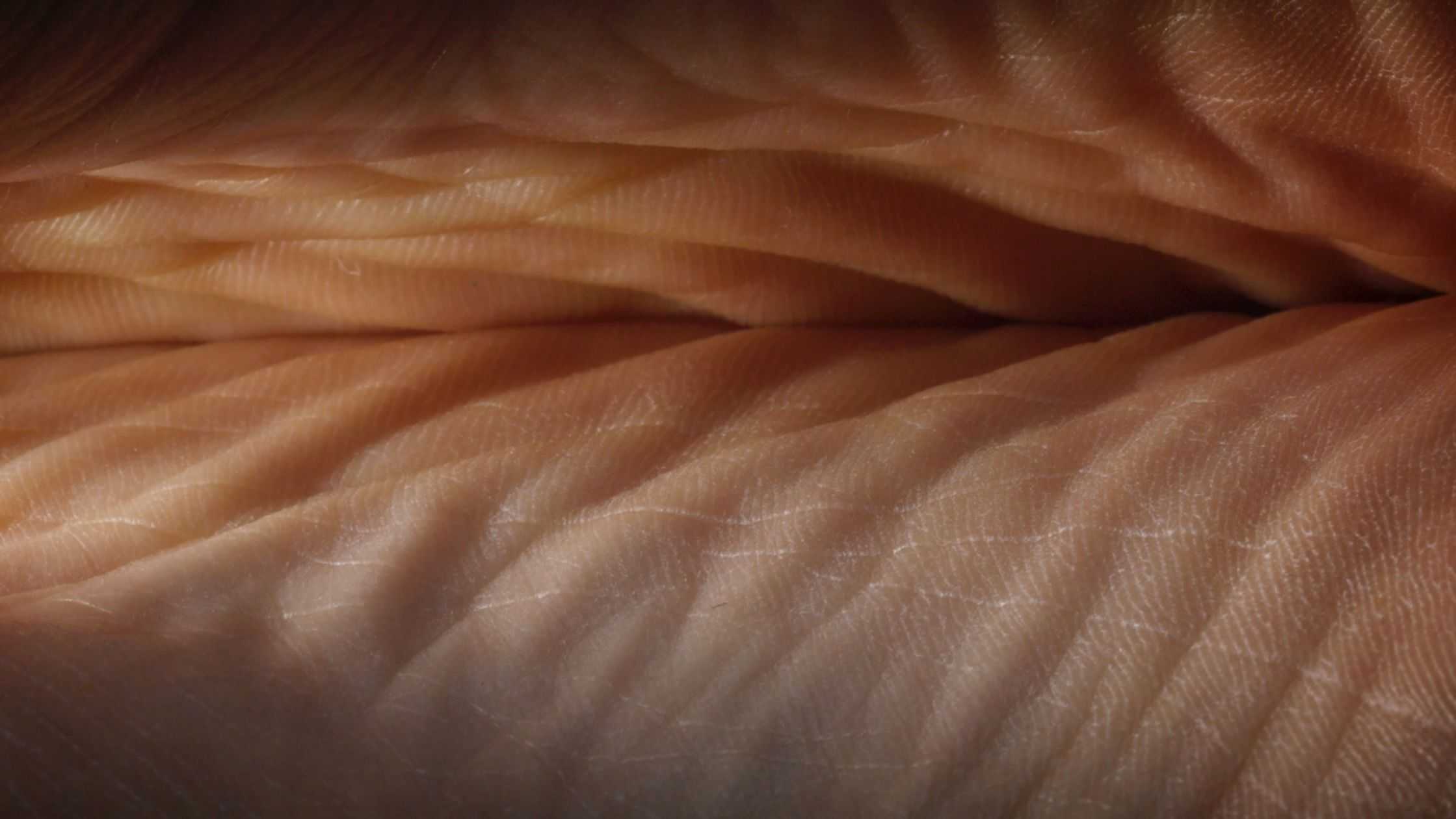 草薙　樹樹 - Landscape Anatomy | 東京藝大アートフェス / TOKYO GEIDAI ARTFESの作品画像 | 1枚目