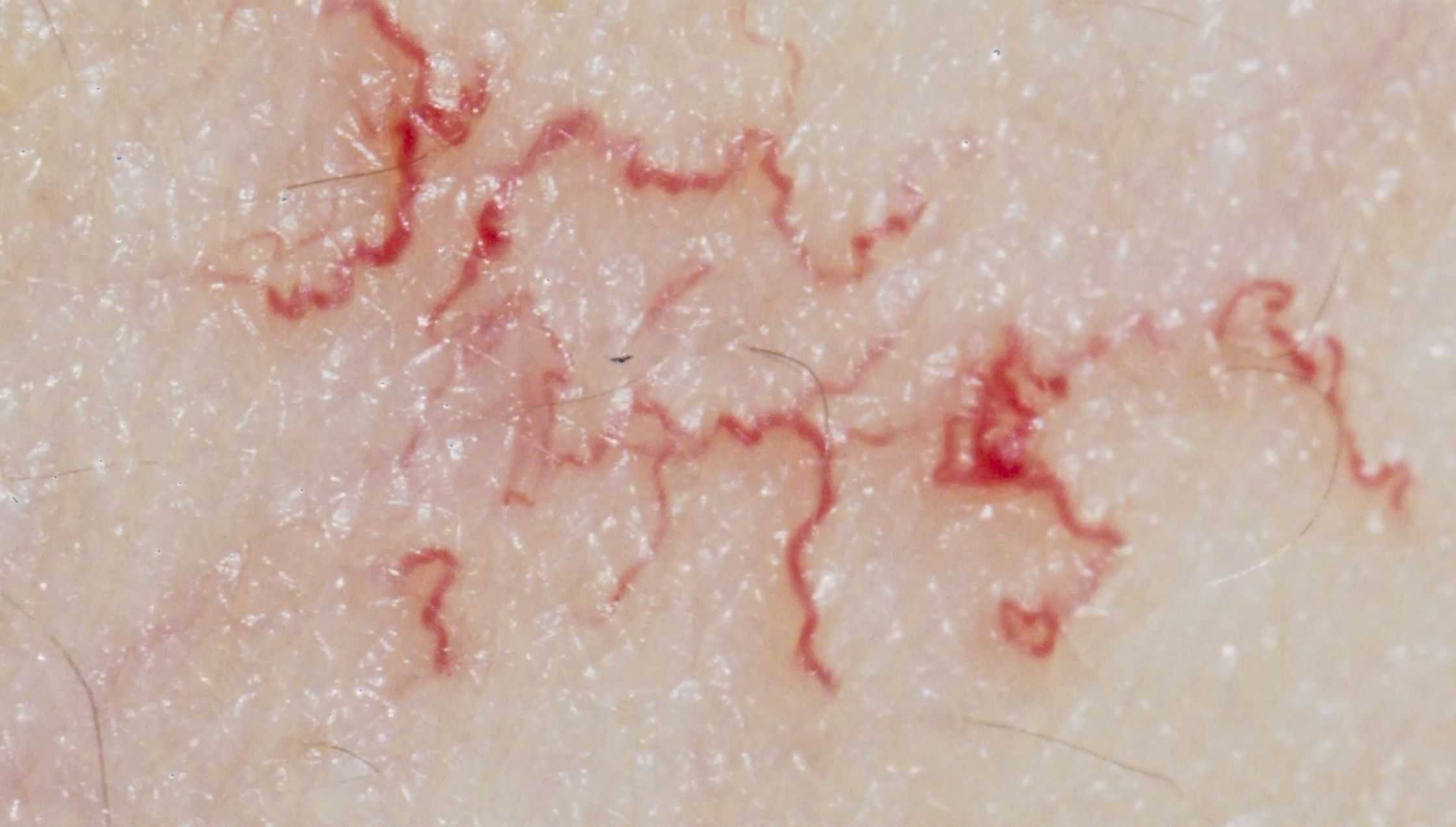 草薙　樹樹 - Landscape Anatomy | 東京藝大アートフェス / TOKYO GEIDAI ARTFESの作品画像 | 2枚目