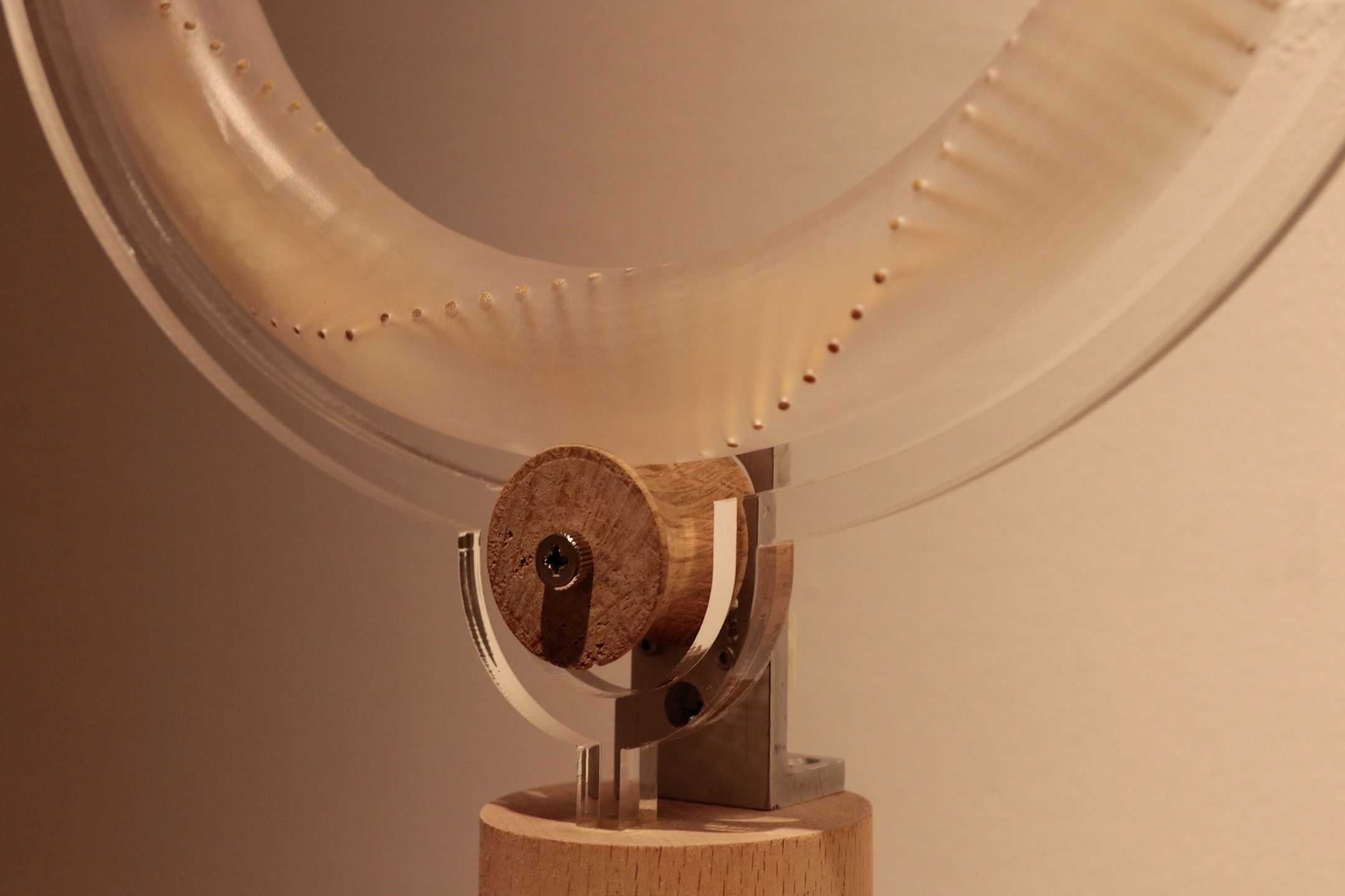 張　瑞麟 - レイン・リング - レイニング | 東京藝大アートフェス / TOKYO GEIDAI ARTFESの作品画像 | 3枚目