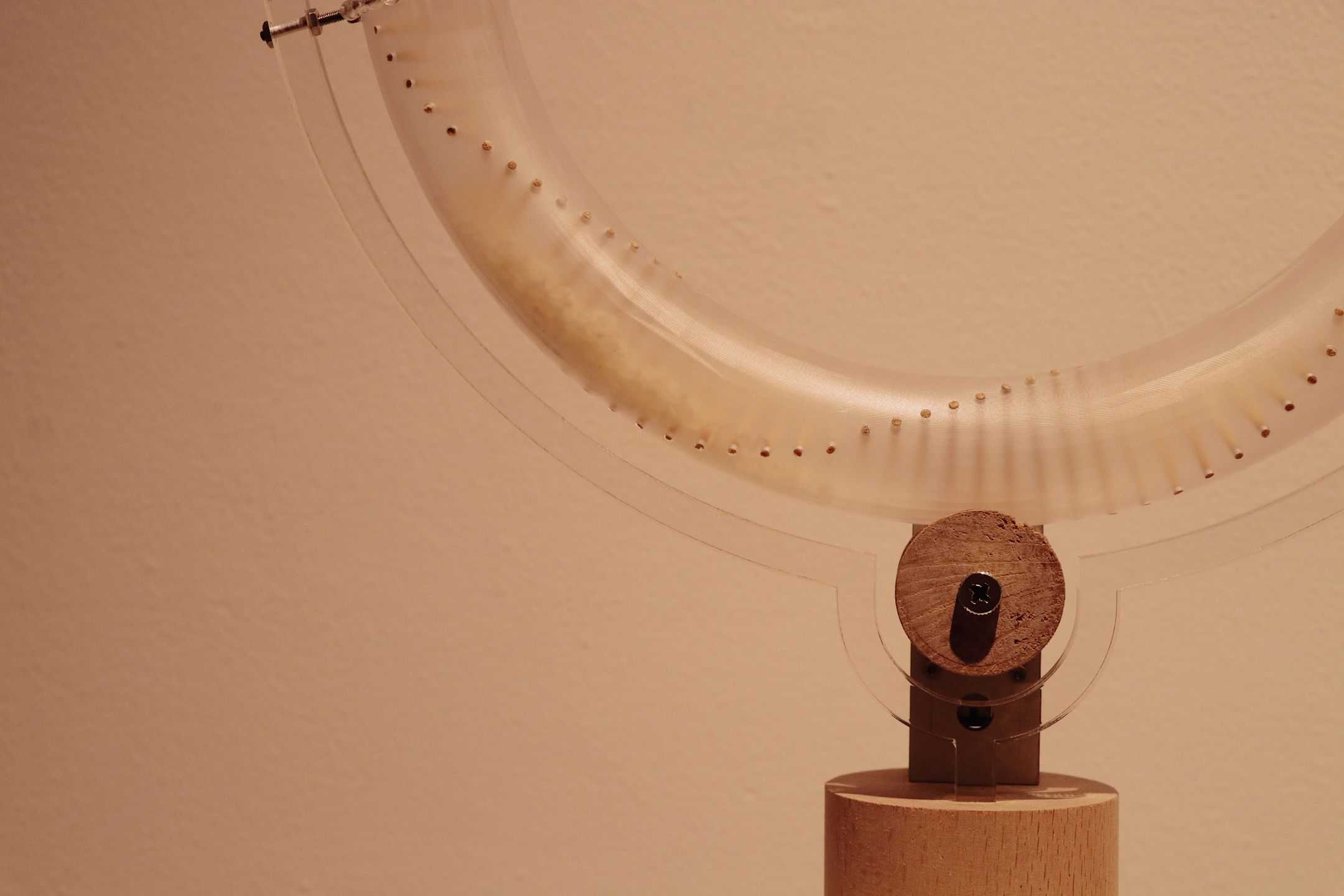 張　瑞麟 - レイン・リング - レイニング | 東京藝大アートフェス / TOKYO GEIDAI ARTFESの作品画像 | 5枚目