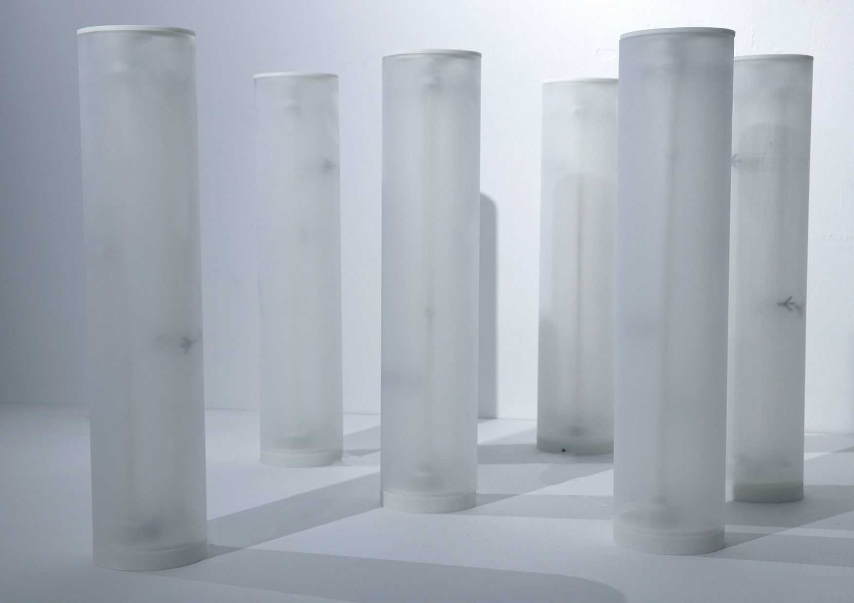 陳干 - どうしよう！ | 東京藝大アートフェス / TOKYO GEIDAI ARTFESの作品画像 | 2枚目