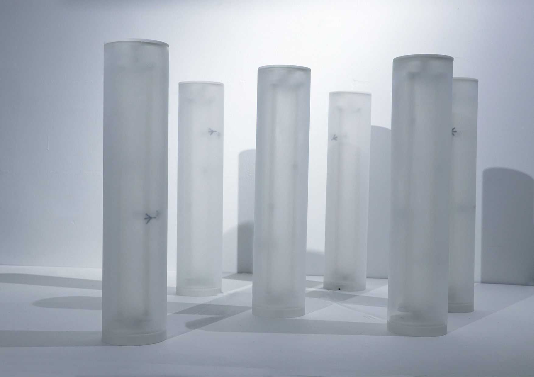 陳干 - どうしよう！ | 東京藝大アートフェス / TOKYO GEIDAI ARTFESの作品画像 | 3枚目