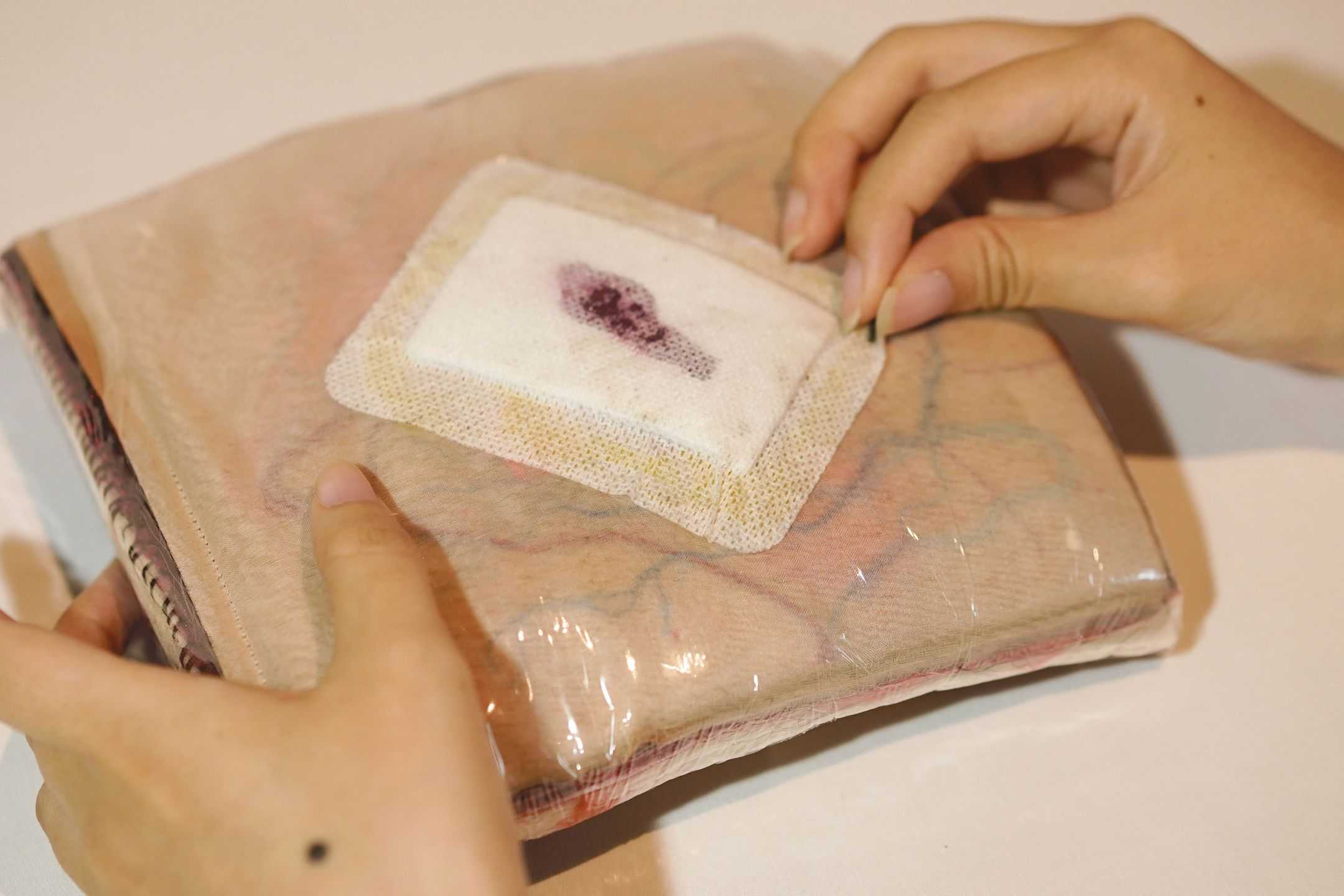 平川　紗里奈 - 心の解剖 | 東京藝大アートフェス / TOKYO GEIDAI ARTFESの作品画像 | 0枚目