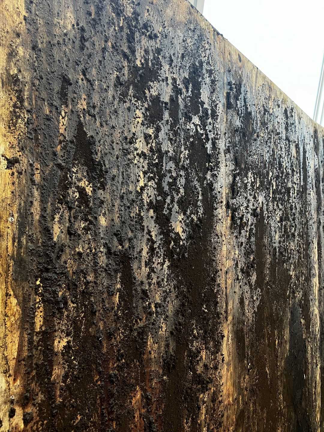 楠本　慶介 - 花嫁、三つの契り | 東京藝大アートフェス / TOKYO GEIDAI ARTFESの作品画像 | 5枚目