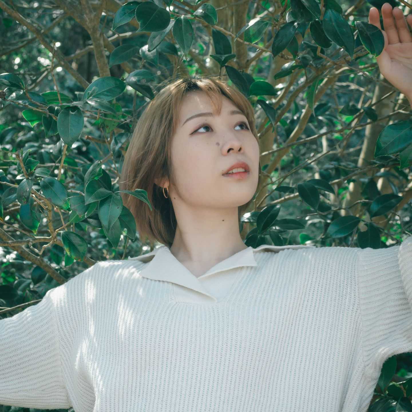 豊田　ゆり佳のプロフィール画像