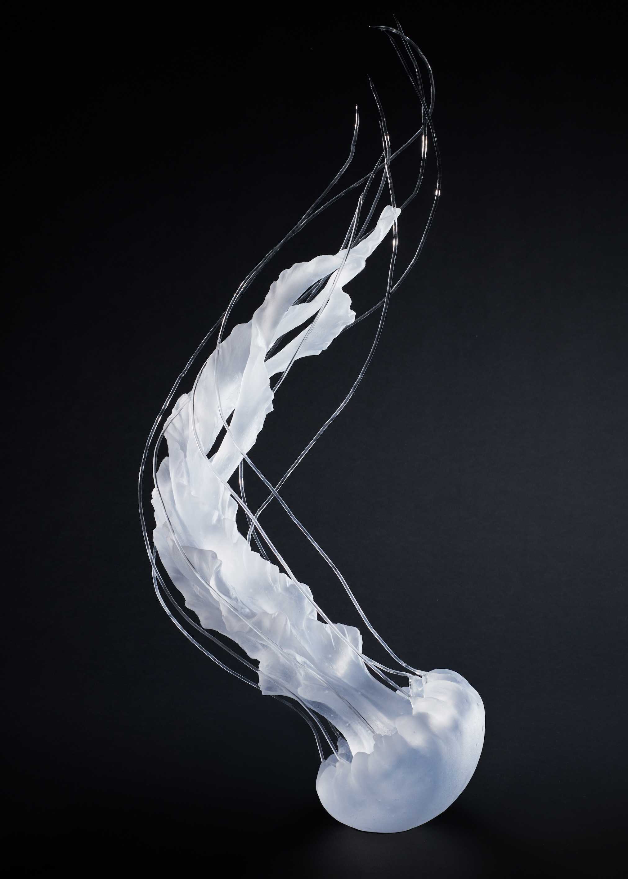 森　惠海 - ただよい、纏うの作品画像 | 0枚目