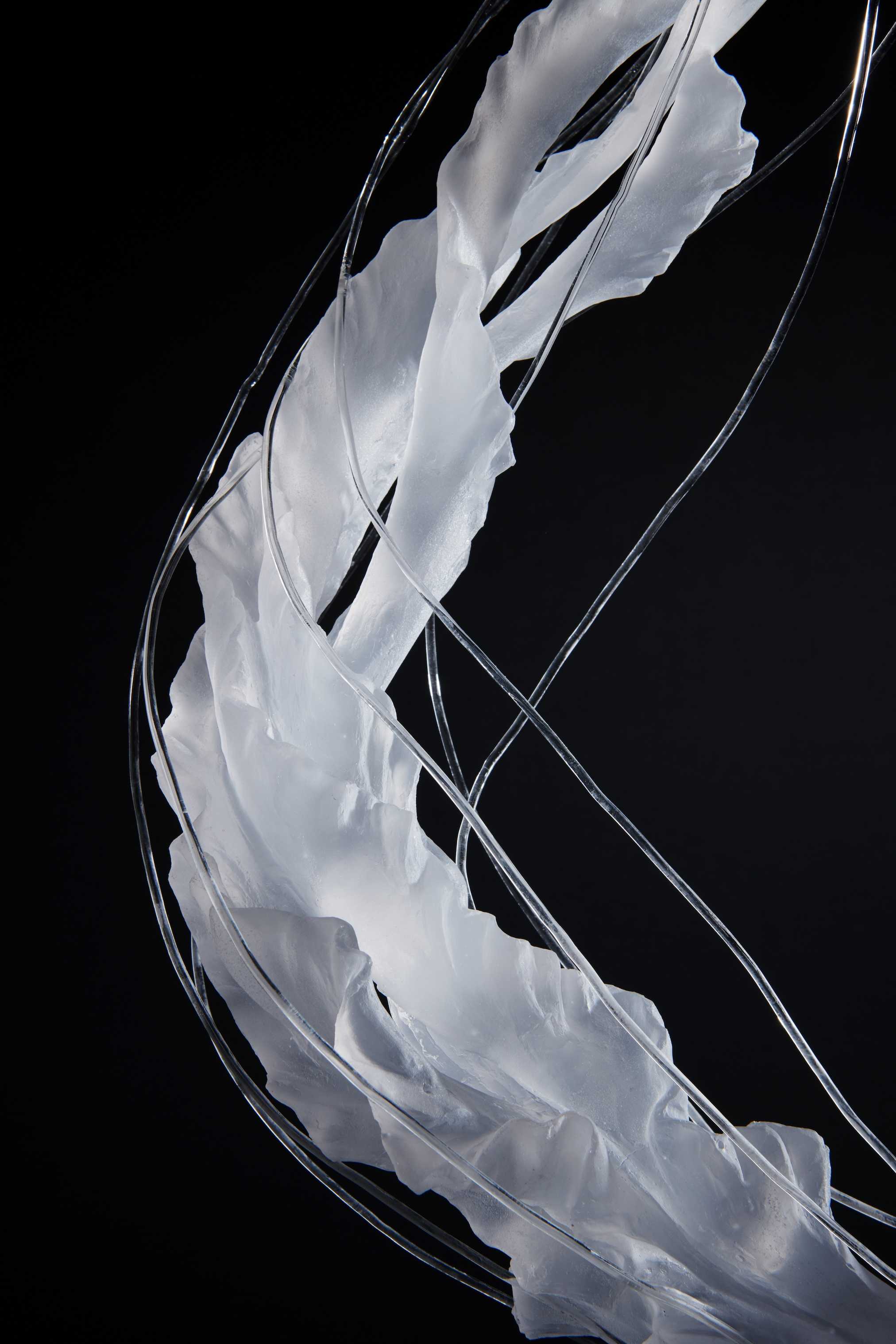 森　惠海 - ただよい、纏うの作品画像 | 2枚目