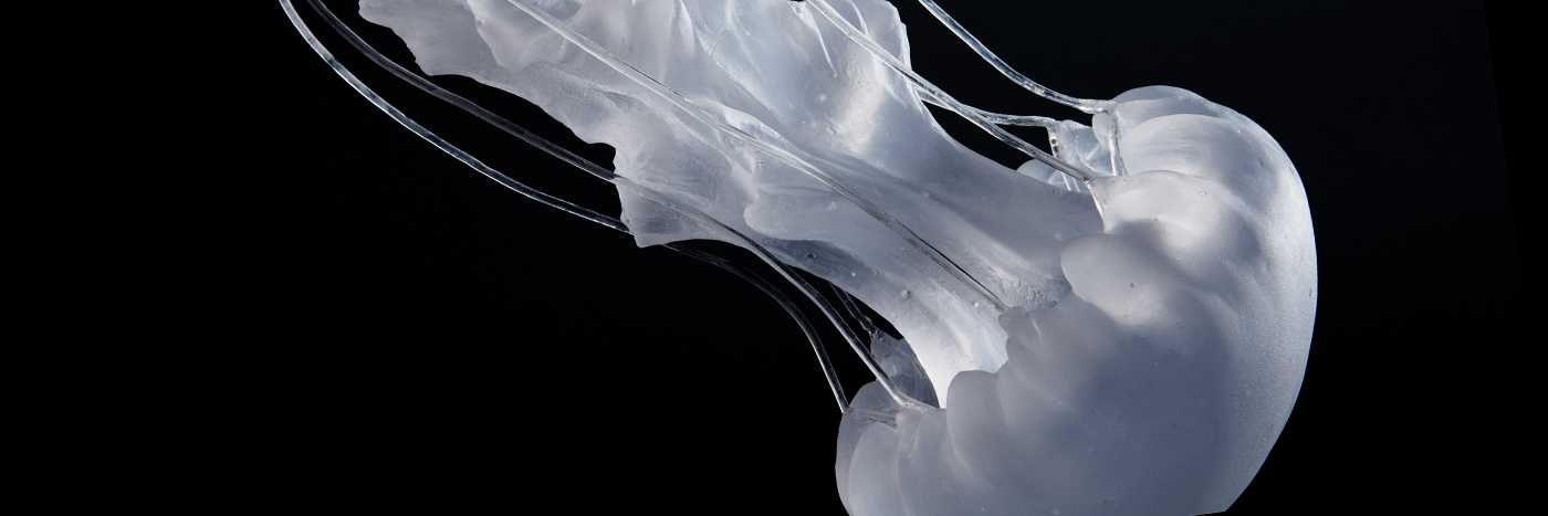 ただよい、纏う by MORI EMI