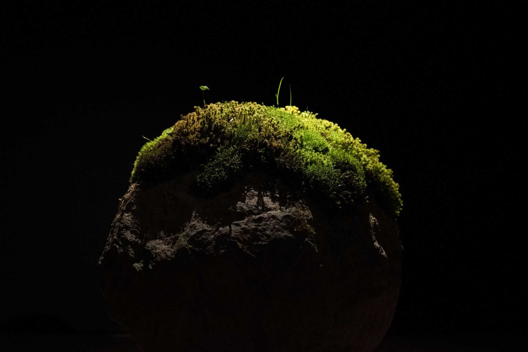 柏木　崇吾 - ある閉ざされた「一瞬」のうちに | 東京藝大アートフェス / TOKYO GEIDAI ARTFESの作品画像 | 3枚目