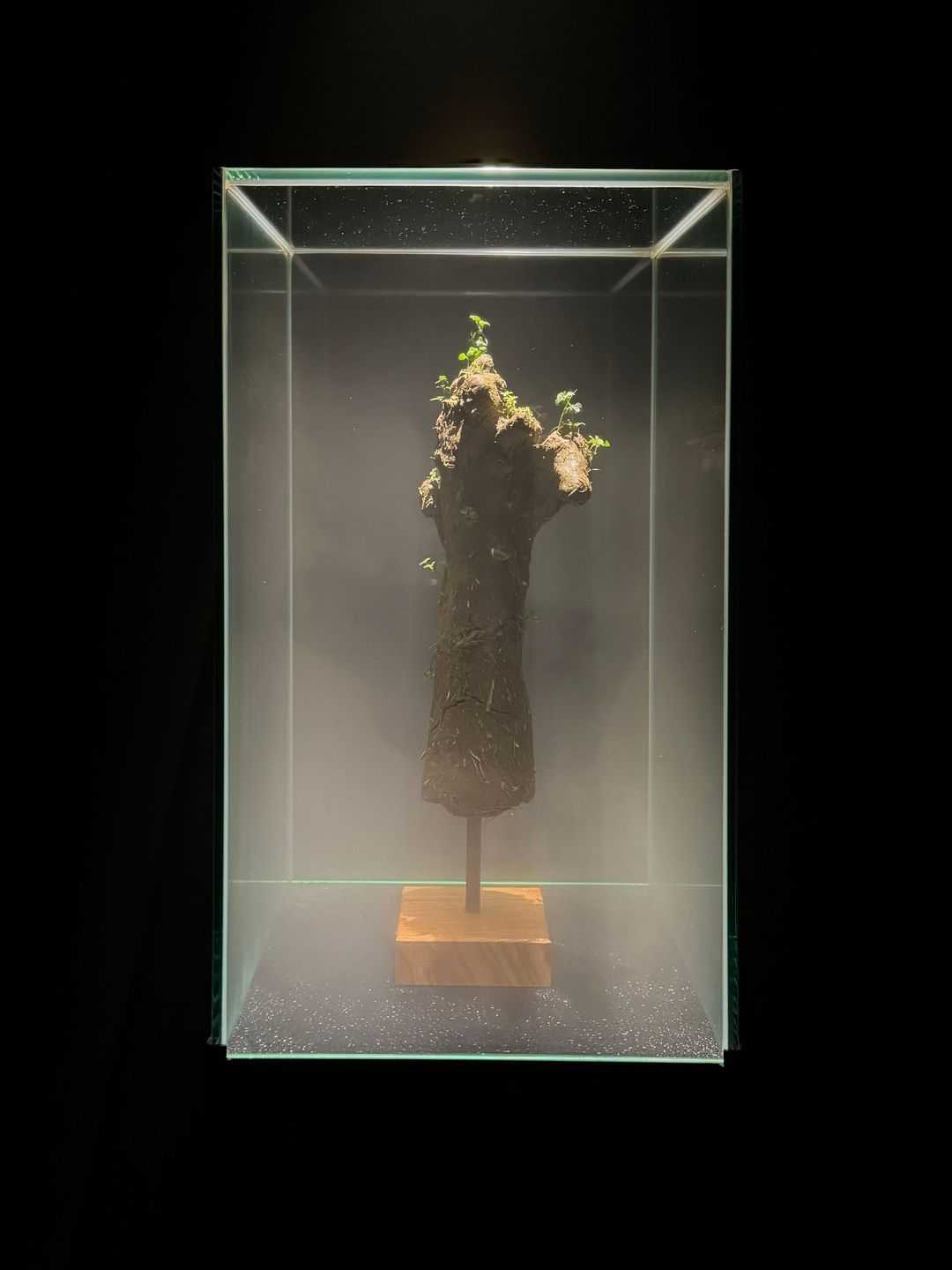 柏木　崇吾 - ある閉ざされた「一瞬」のうちに | 東京藝大アートフェス / TOKYO GEIDAI ARTFESの作品画像 | 6枚目