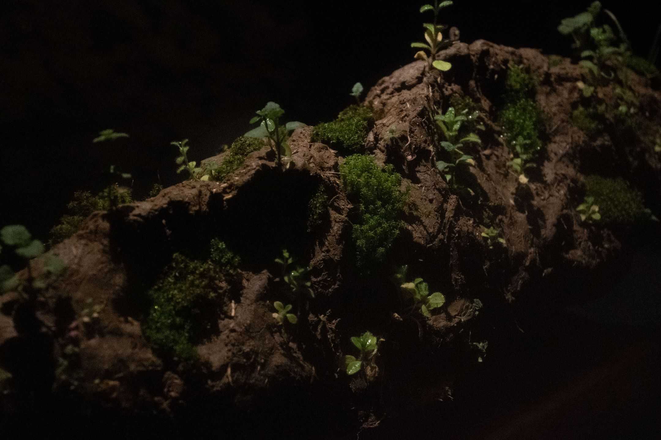 柏木　崇吾 - ある閉ざされた「一瞬」のうちに | 東京藝大アートフェス / TOKYO GEIDAI ARTFESの作品画像 | 8枚目