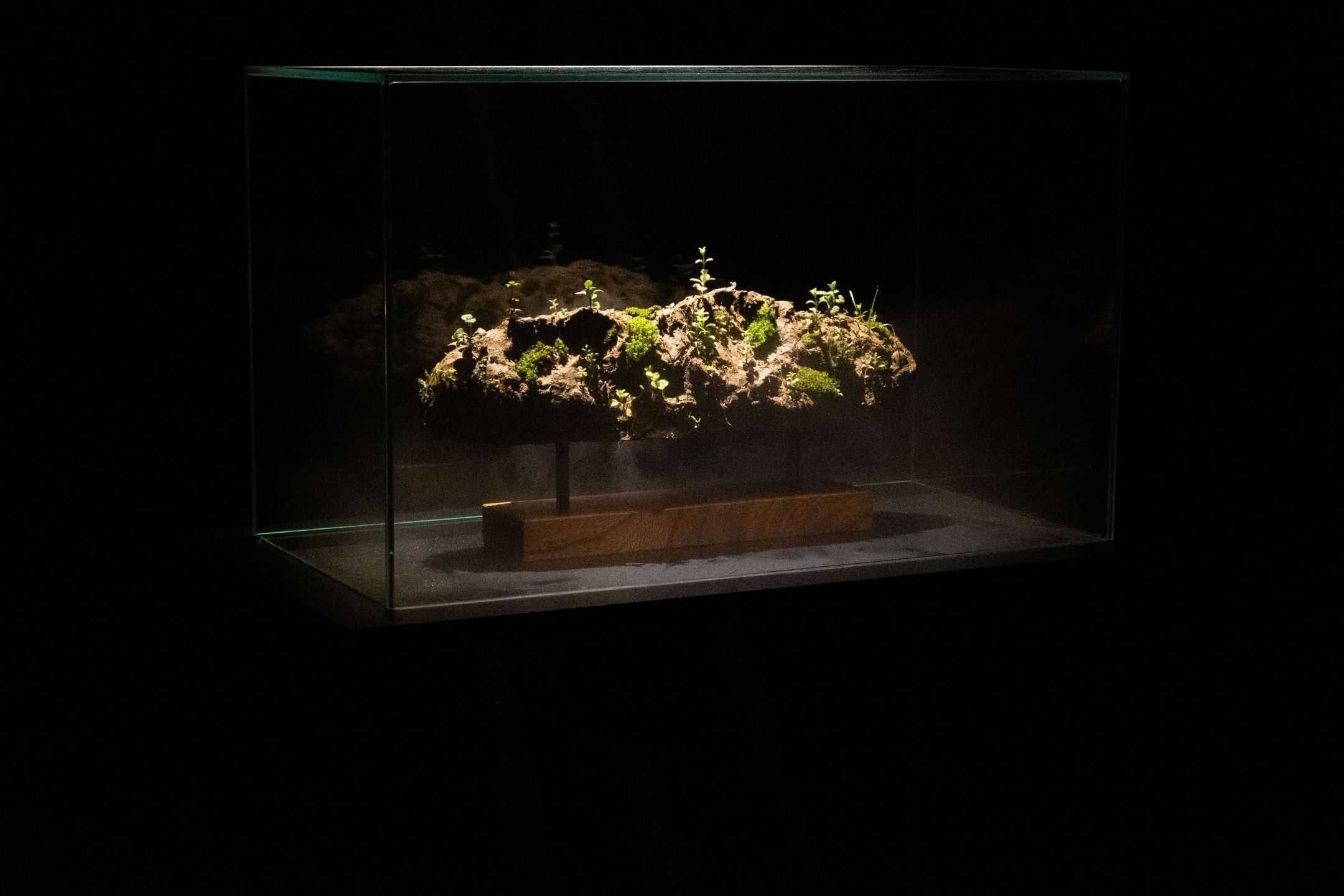 柏木　崇吾 - ある閉ざされた「一瞬」のうちに | 東京藝大アートフェス / TOKYO GEIDAI ARTFESの作品画像 | 9枚目