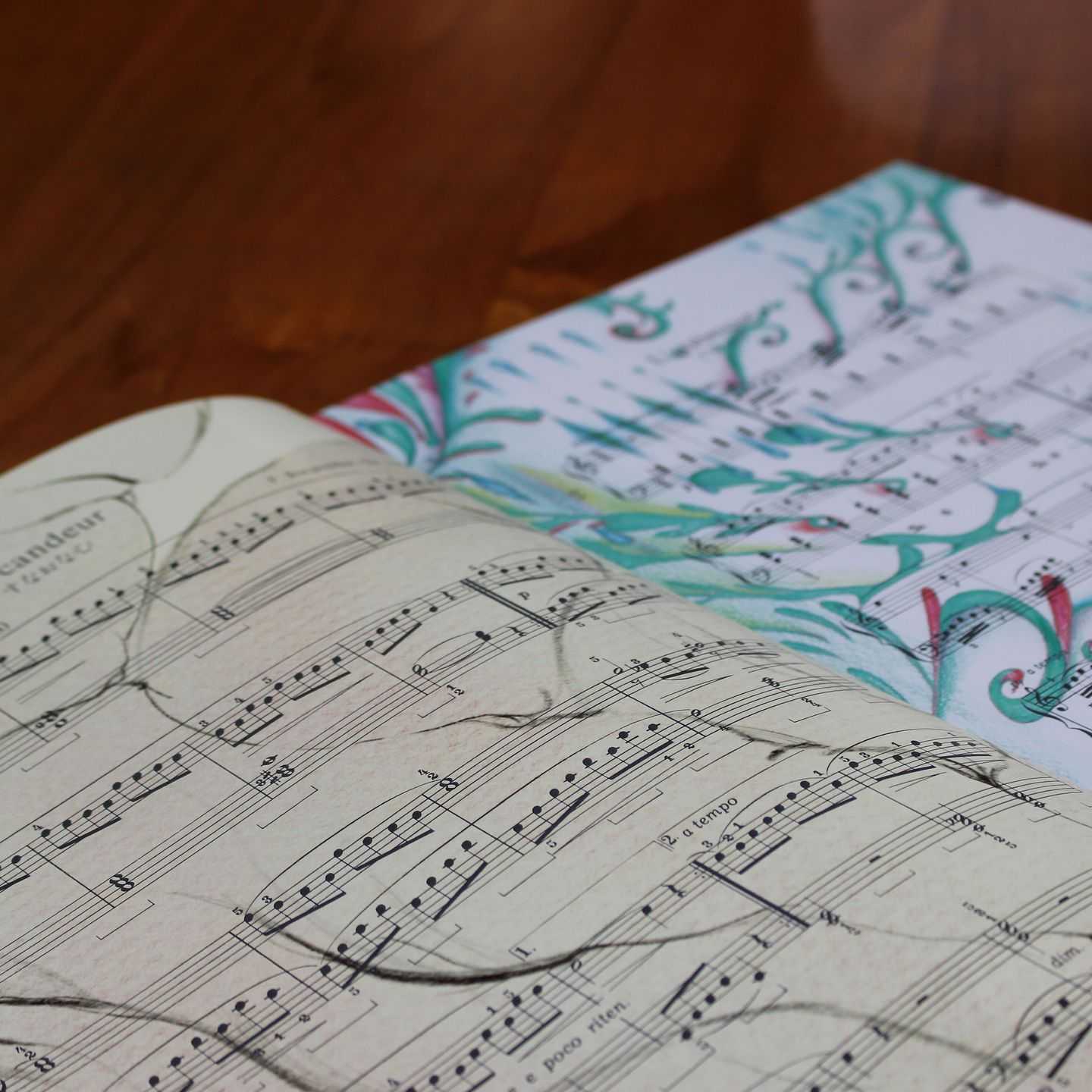 長谷川 志樹 - ガクフネ | 東京藝大アートフェス / TOKYO GEIDAI ARTFESの作品画像 | 0枚目