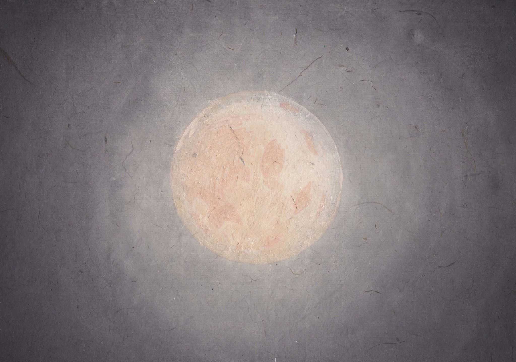 許　芷甄 - 草犬 | 東京藝大アートフェス / TOKYO GEIDAI ARTFESの作品画像 | 2枚目