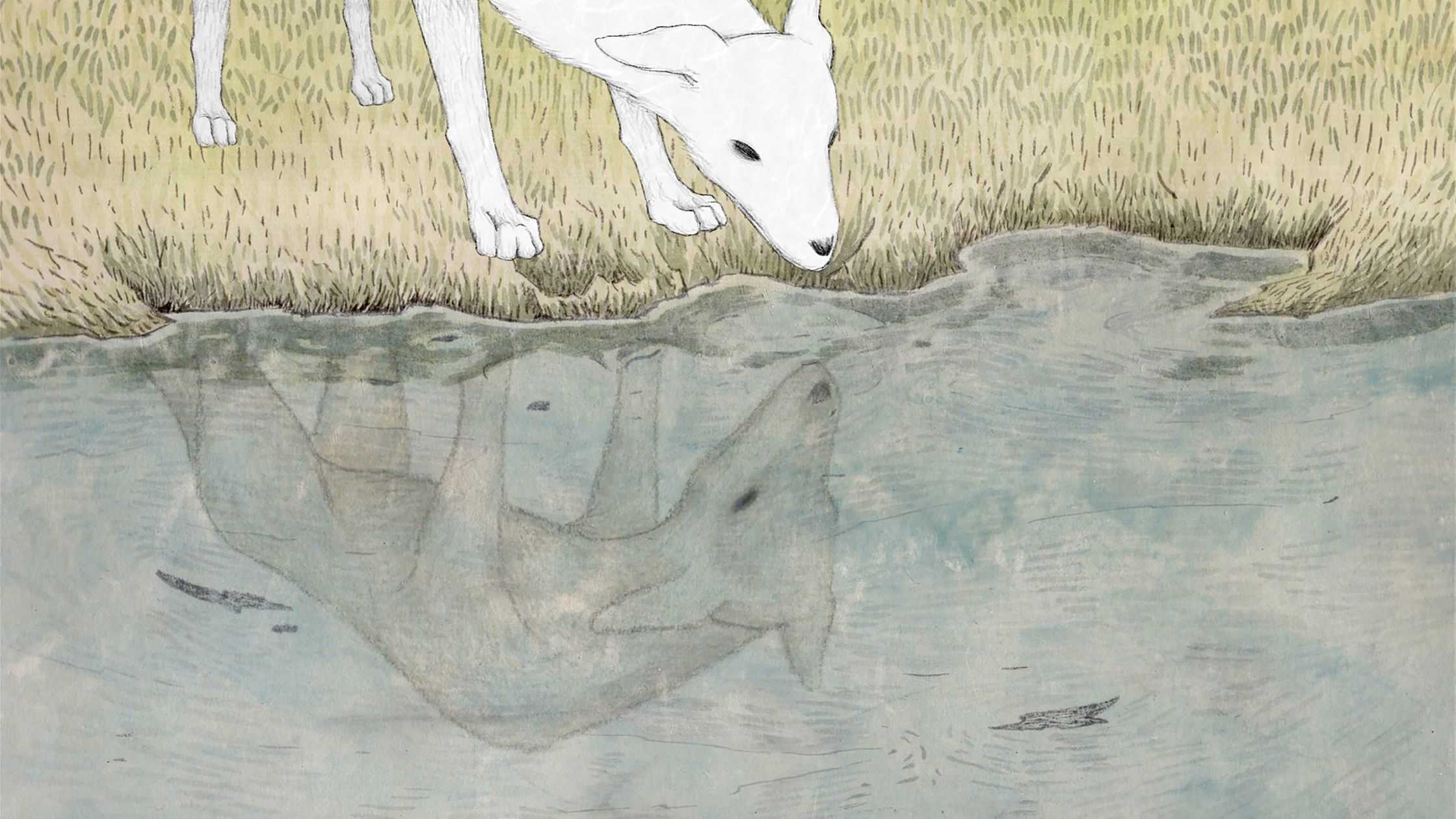 許　芷甄 - 草犬 | 東京藝大アートフェス / TOKYO GEIDAI ARTFESの作品画像 | 4枚目