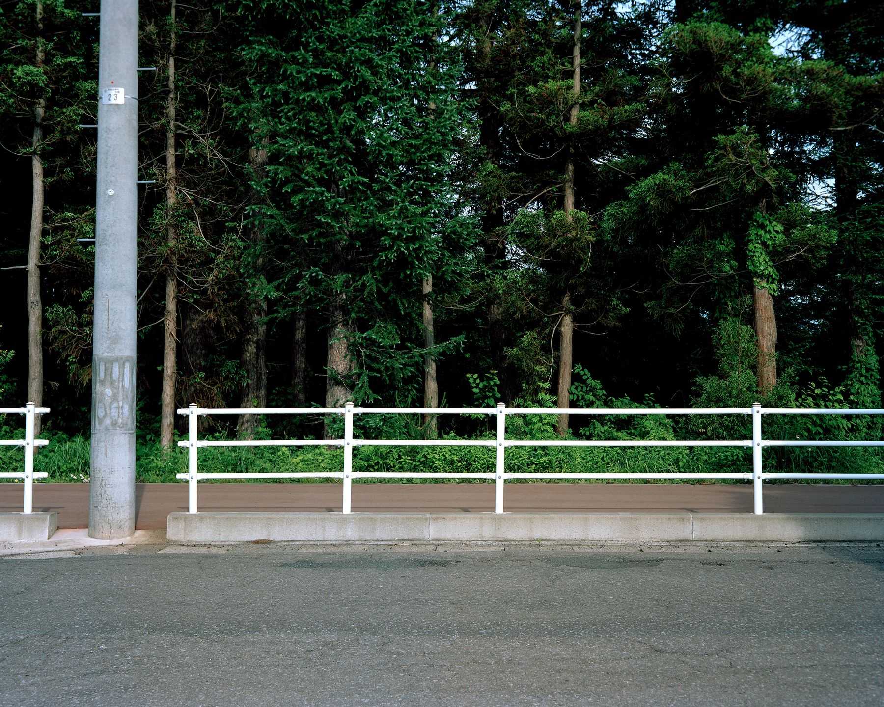 木村 直 - この松の茂る丘は誰のためにあるのだろうか | 東京藝大アートフェス / TOKYO GEIDAI ARTFESの作品画像 | 3枚目