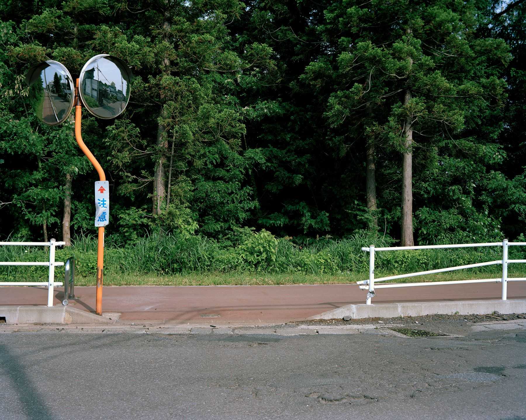木村 直 - この松の茂る丘は誰のためにあるのだろうか | 東京藝大アートフェス / TOKYO GEIDAI ARTFESの作品画像 | 4枚目