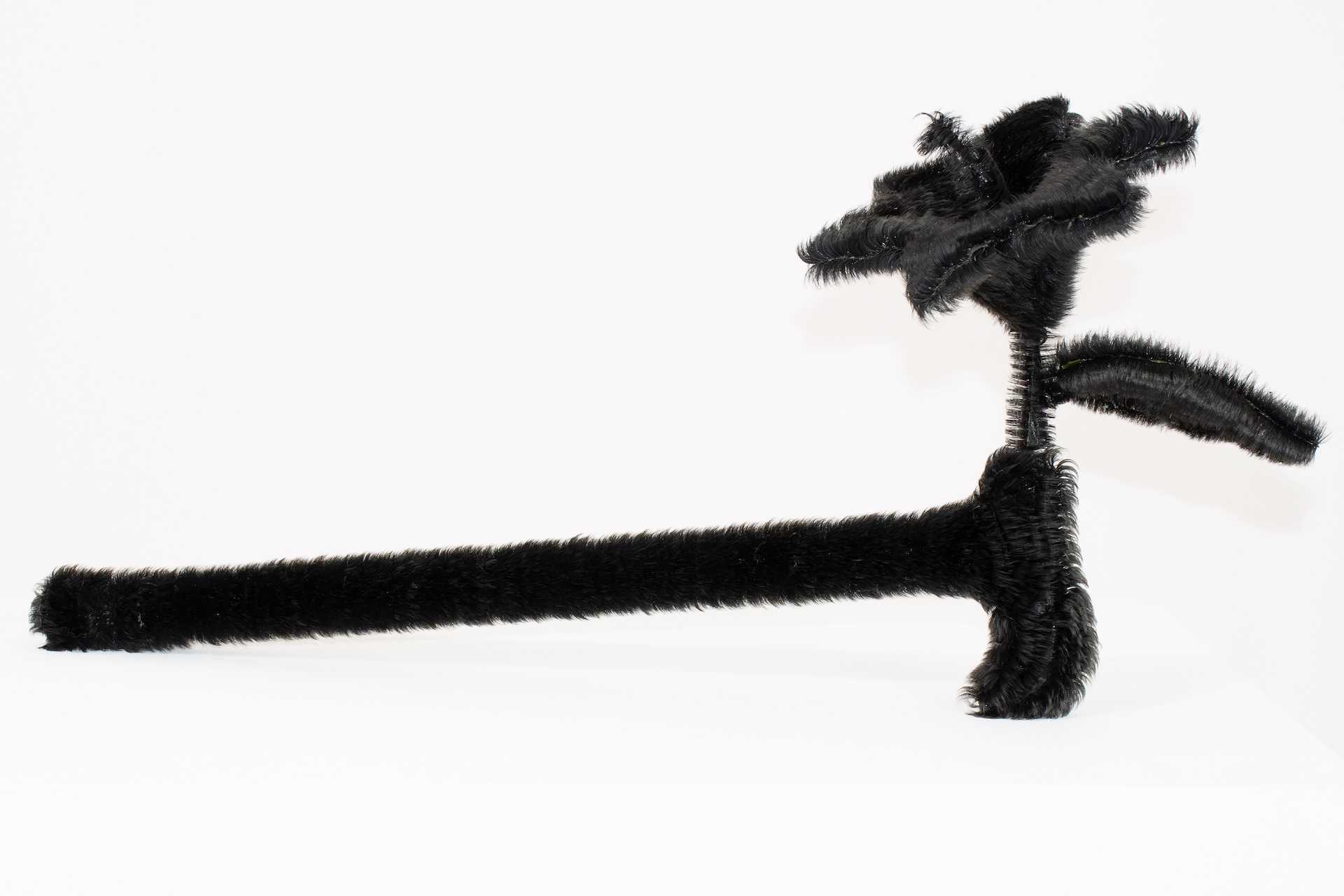 金城　ちはる - 女らしさに、毛が生えるの作品画像 | 0枚目