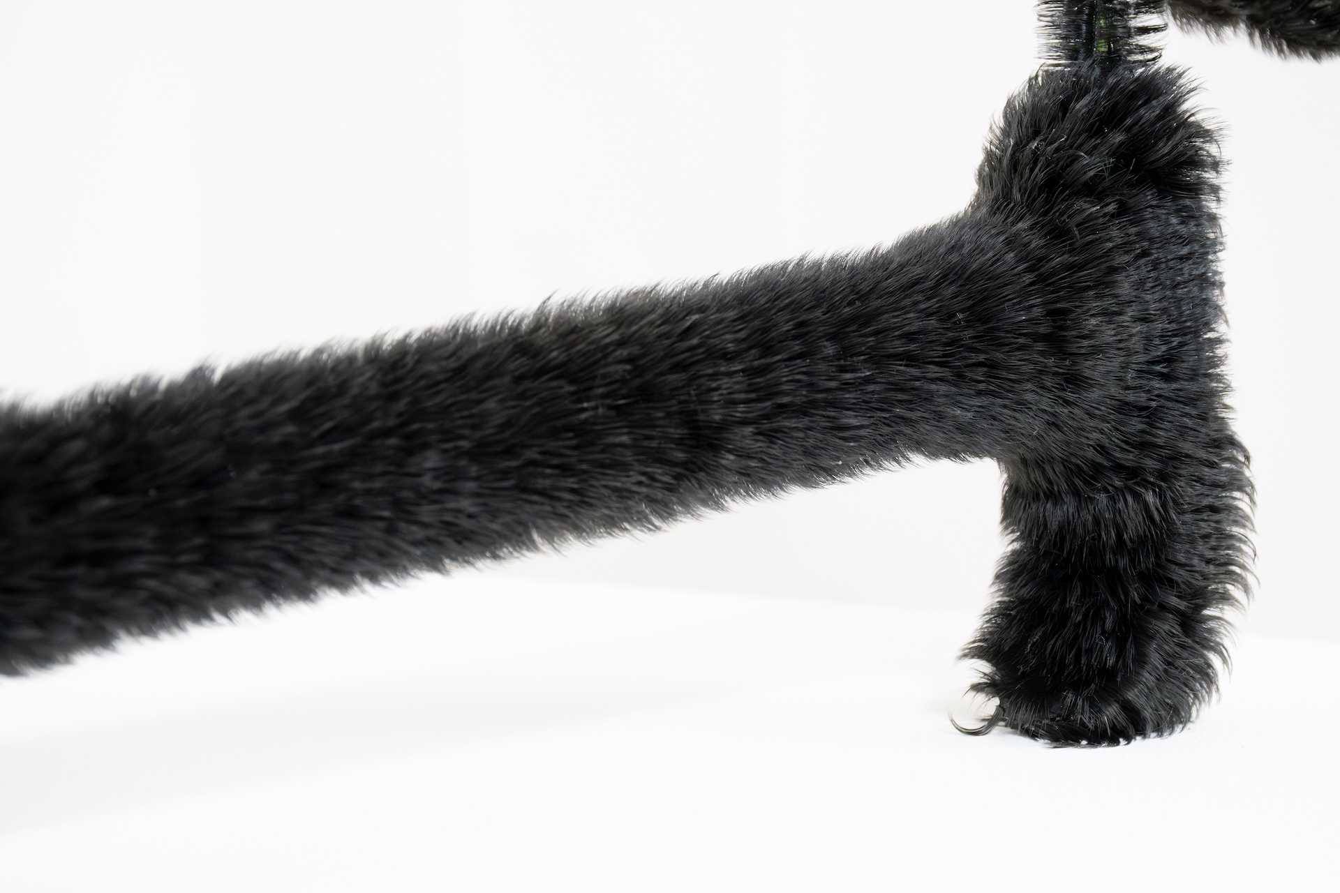 金城　ちはる - 女らしさに、毛が生えるの作品画像 | 2枚目