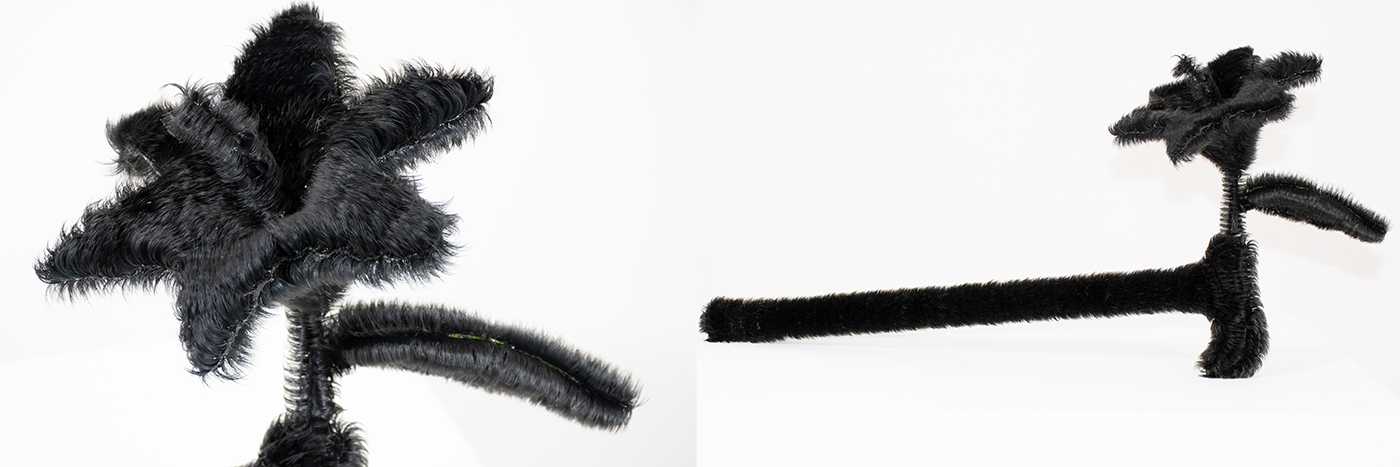 女らしさに、毛が生える by KINJO CHIHARU