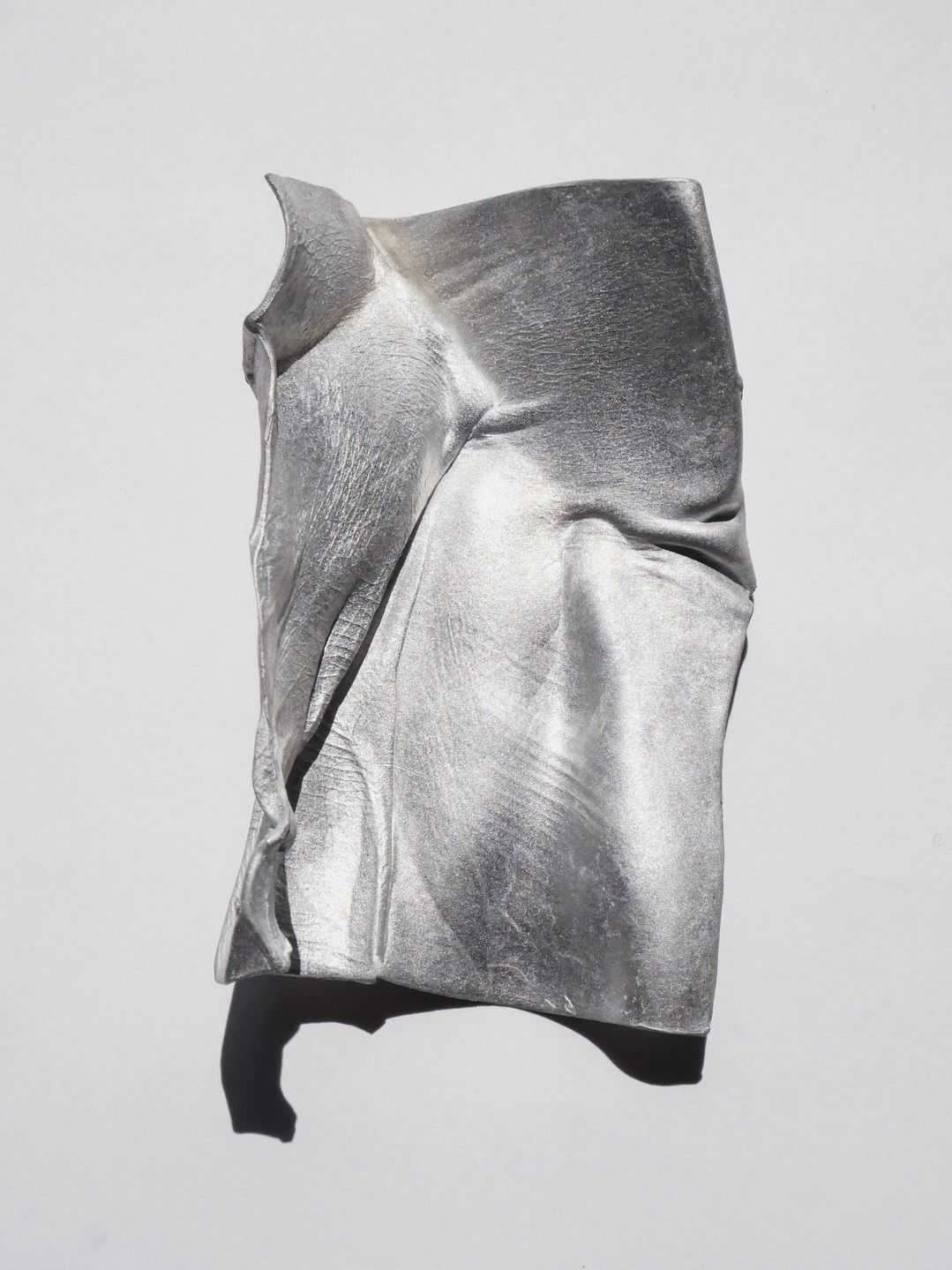 魏　路生 - In between the skin | 東京藝大アートフェス / TOKYO GEIDAI ARTFESの作品画像 | 0枚目