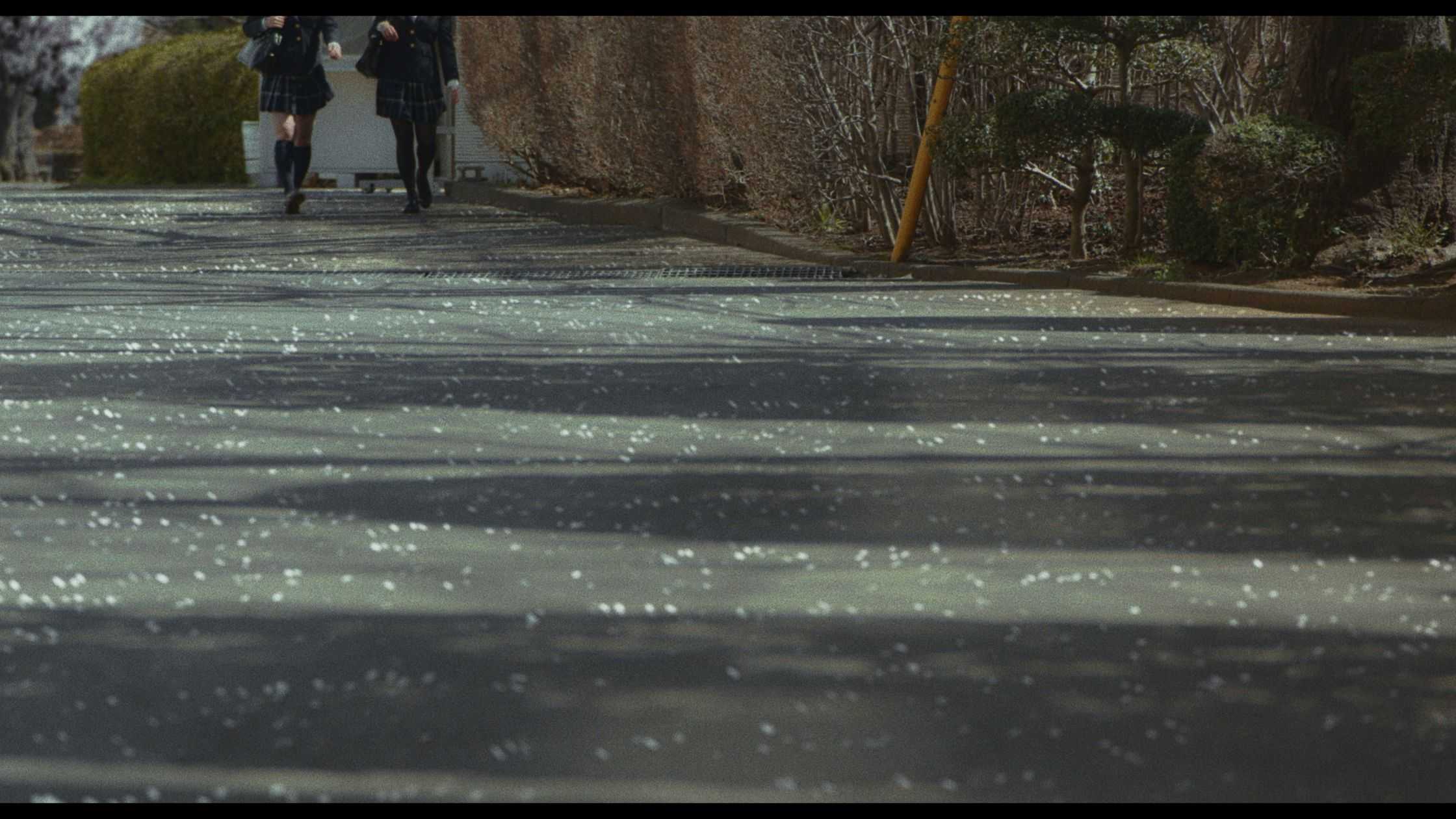 吉岡　一靖 - Perspective | 東京藝大アートフェス / TOKYO GEIDAI ARTFESの作品画像 | 3枚目