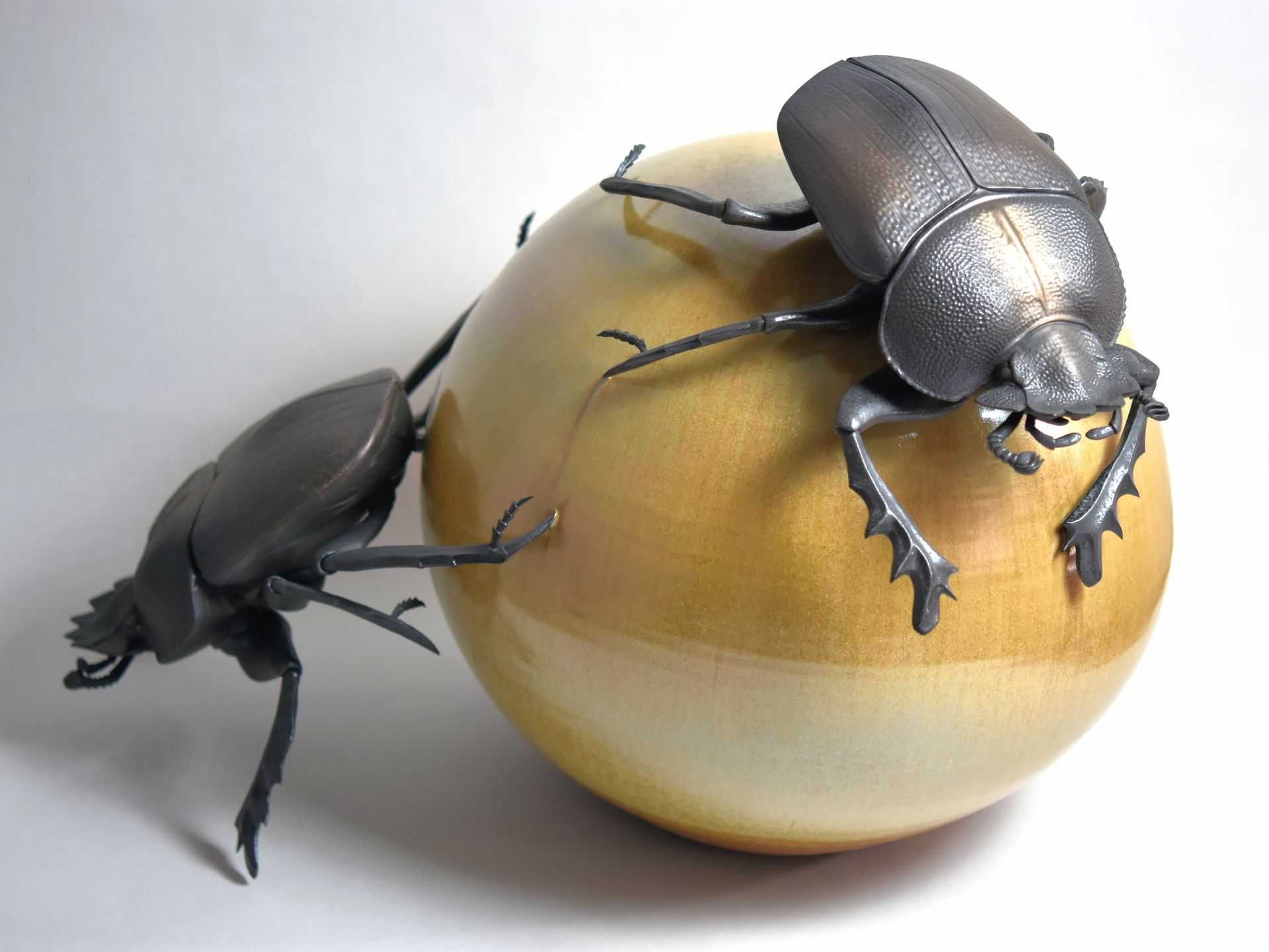 野村　俊介 - スカラベ | 東京藝大アートフェス / TOKYO GEIDAI ARTFESの作品画像 | 0枚目