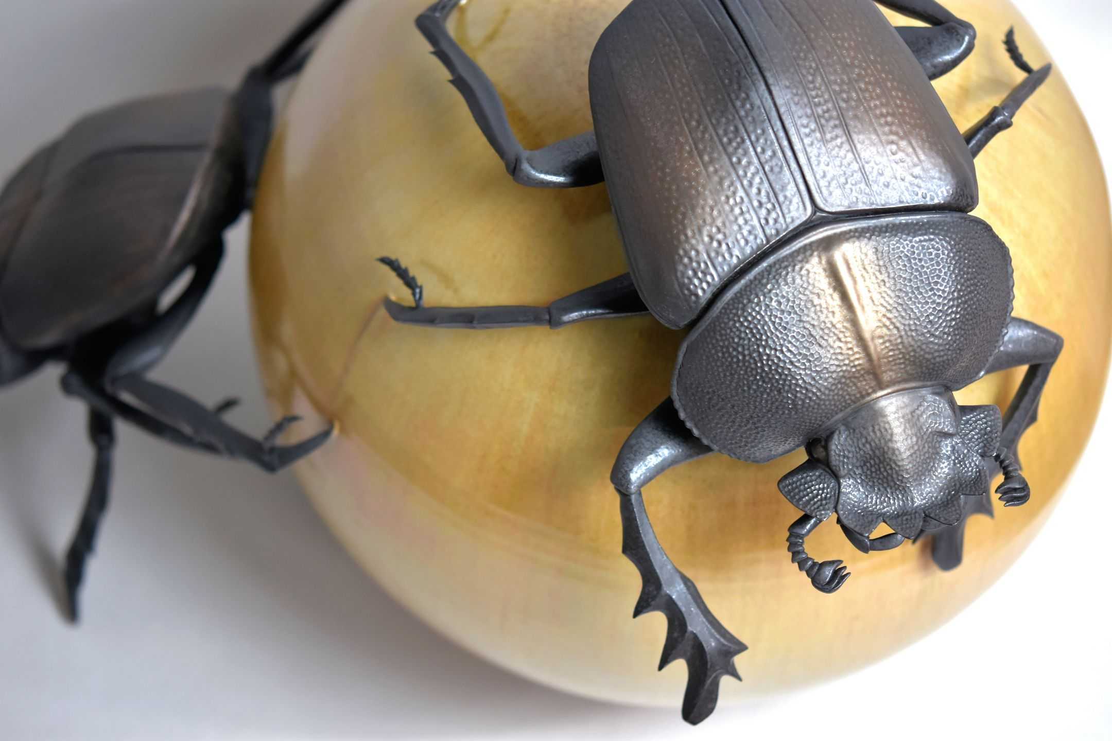 野村　俊介 - スカラベ | 東京藝大アートフェス / TOKYO GEIDAI ARTFESの作品画像 | 1枚目