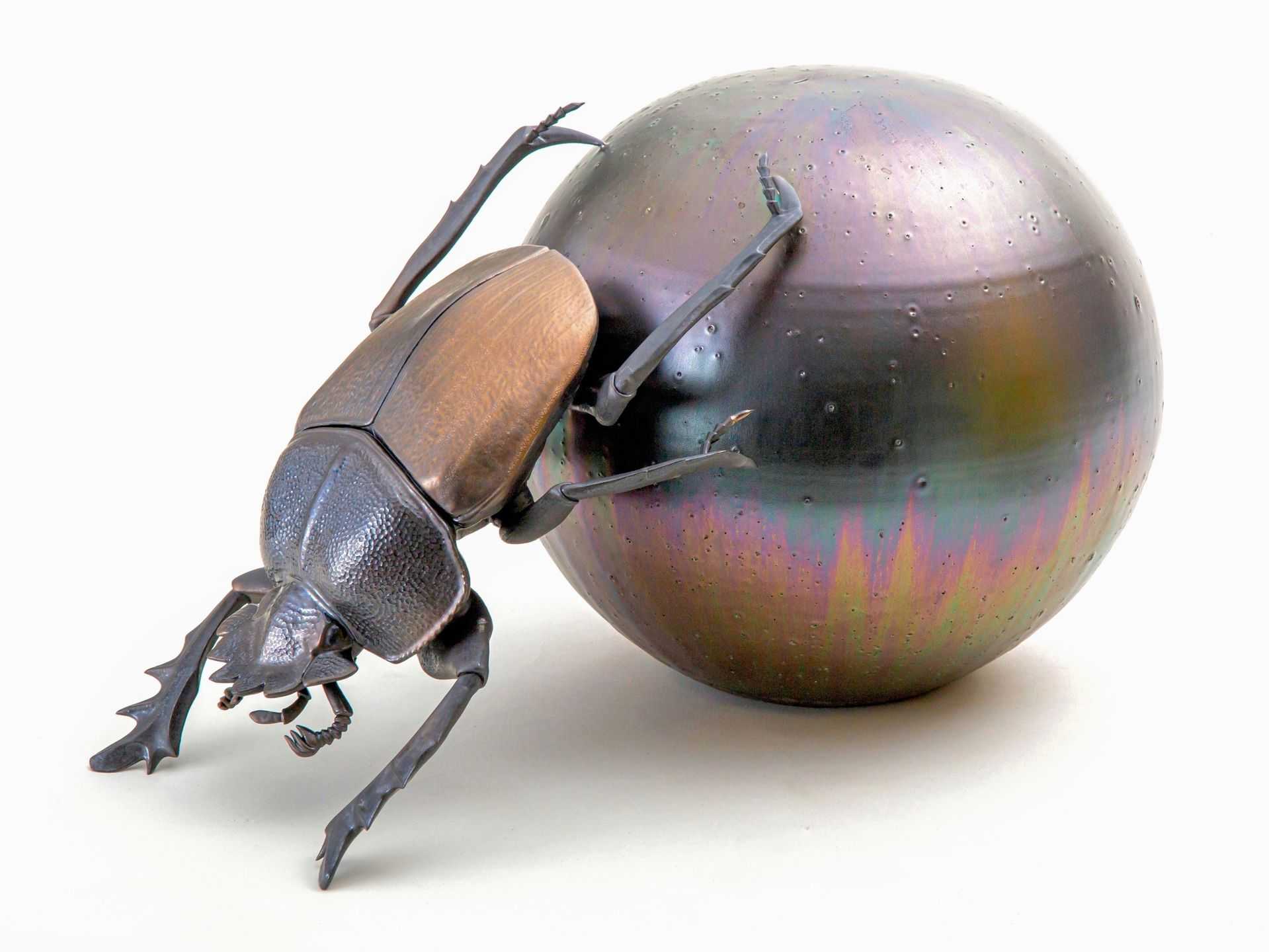 野村　俊介 - スカラベ | 東京藝大アートフェス / TOKYO GEIDAI ARTFESの作品画像 | 4枚目