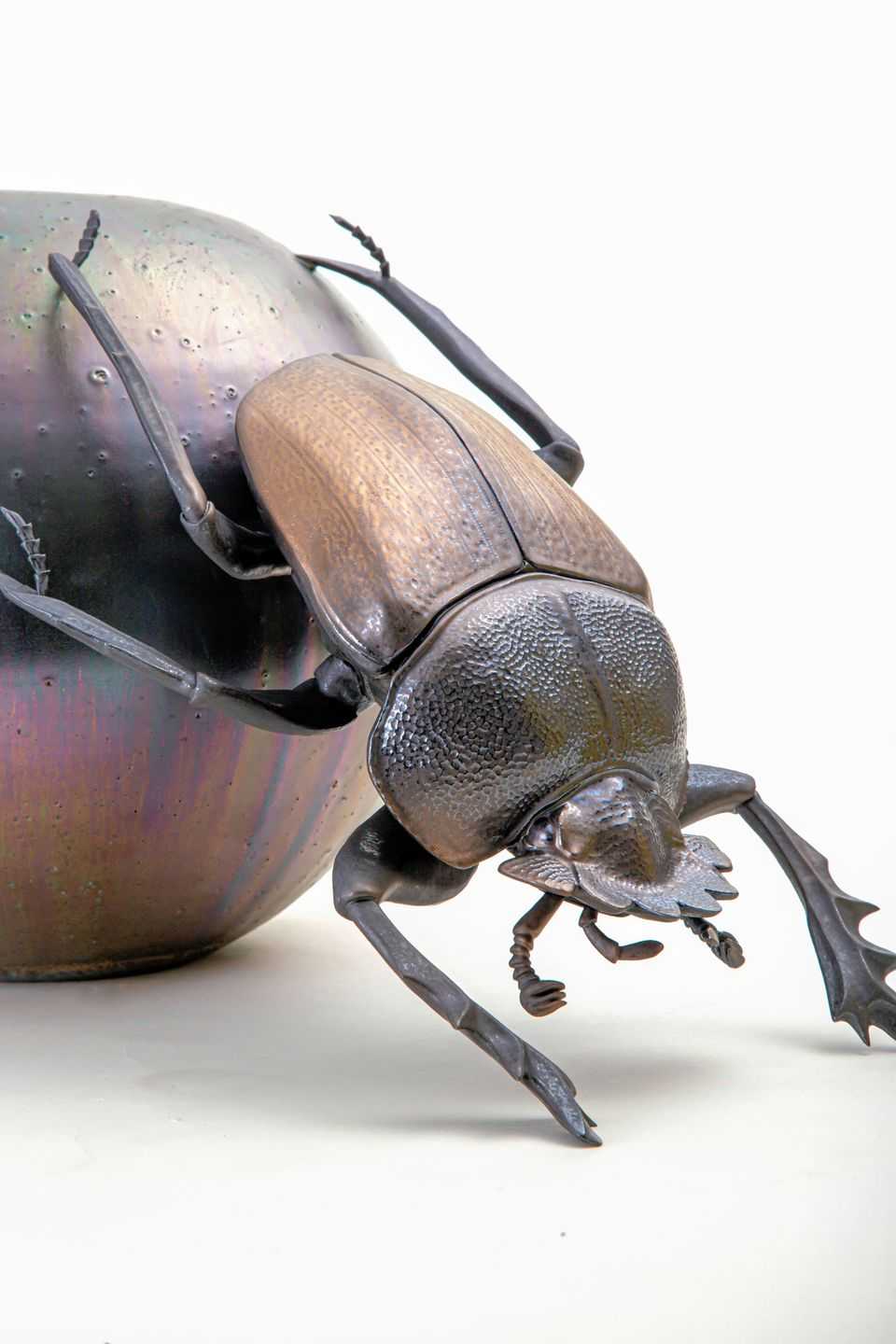 野村　俊介 - スカラベ | 東京藝大アートフェス / TOKYO GEIDAI ARTFESの作品画像 | 5枚目