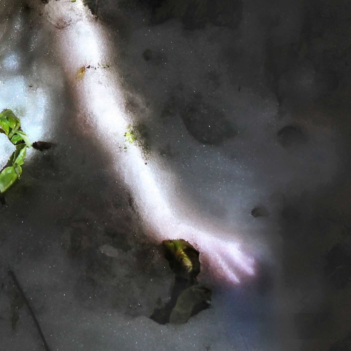 芽生夢 - Touch The Snow | 東京藝大アートフェス / TOKYO GEIDAI ARTFESの作品画像 | 1枚目