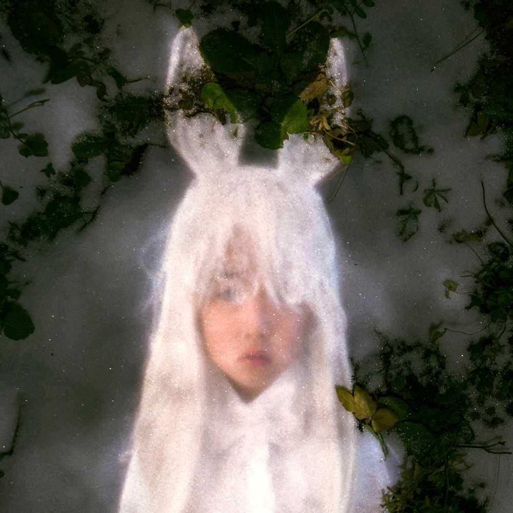 芽生夢のプロフィール画像