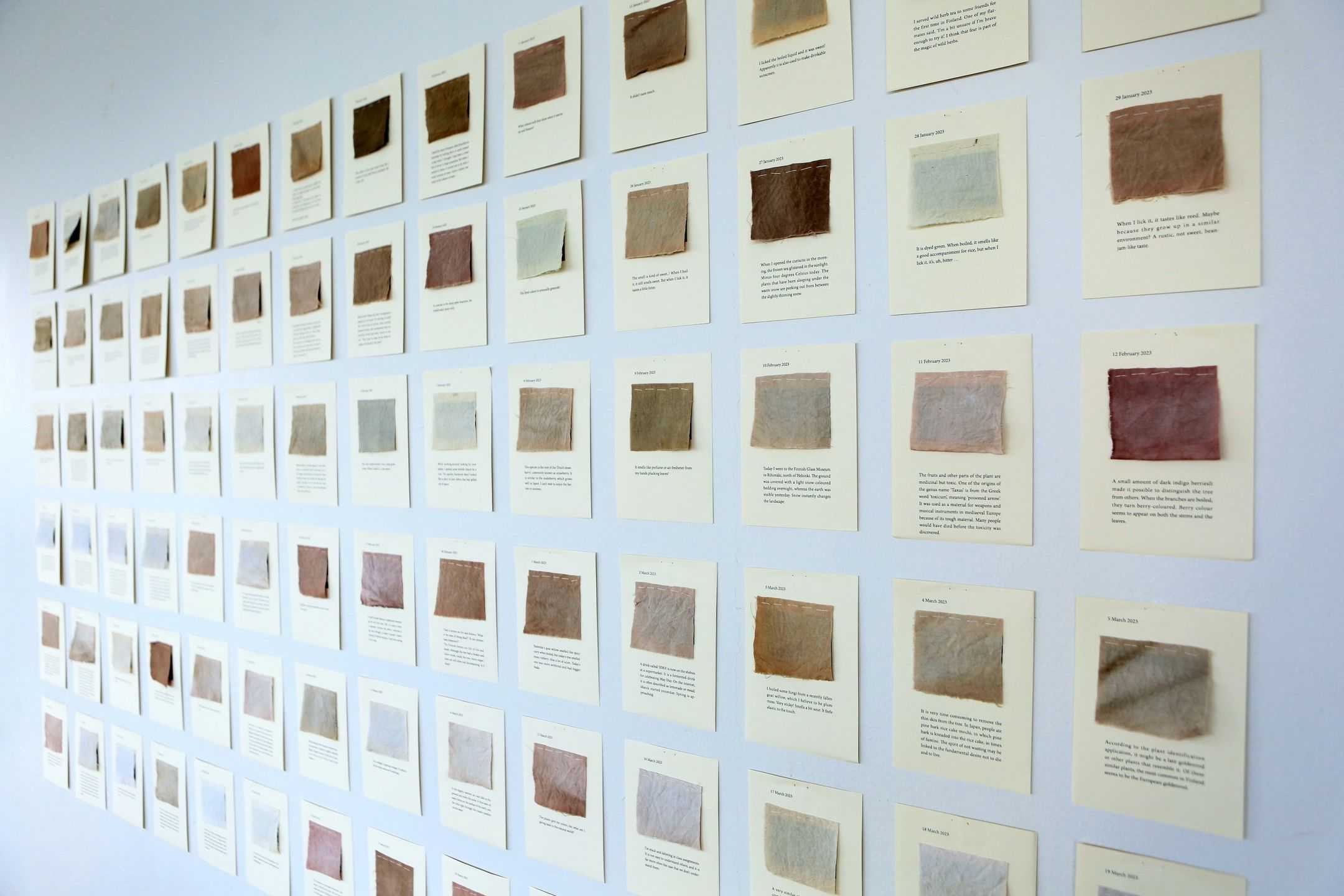 水野　渚 - Eco Emotional Footprint | 東京藝大アートフェス / TOKYO GEIDAI ARTFESの作品画像 | 0枚目