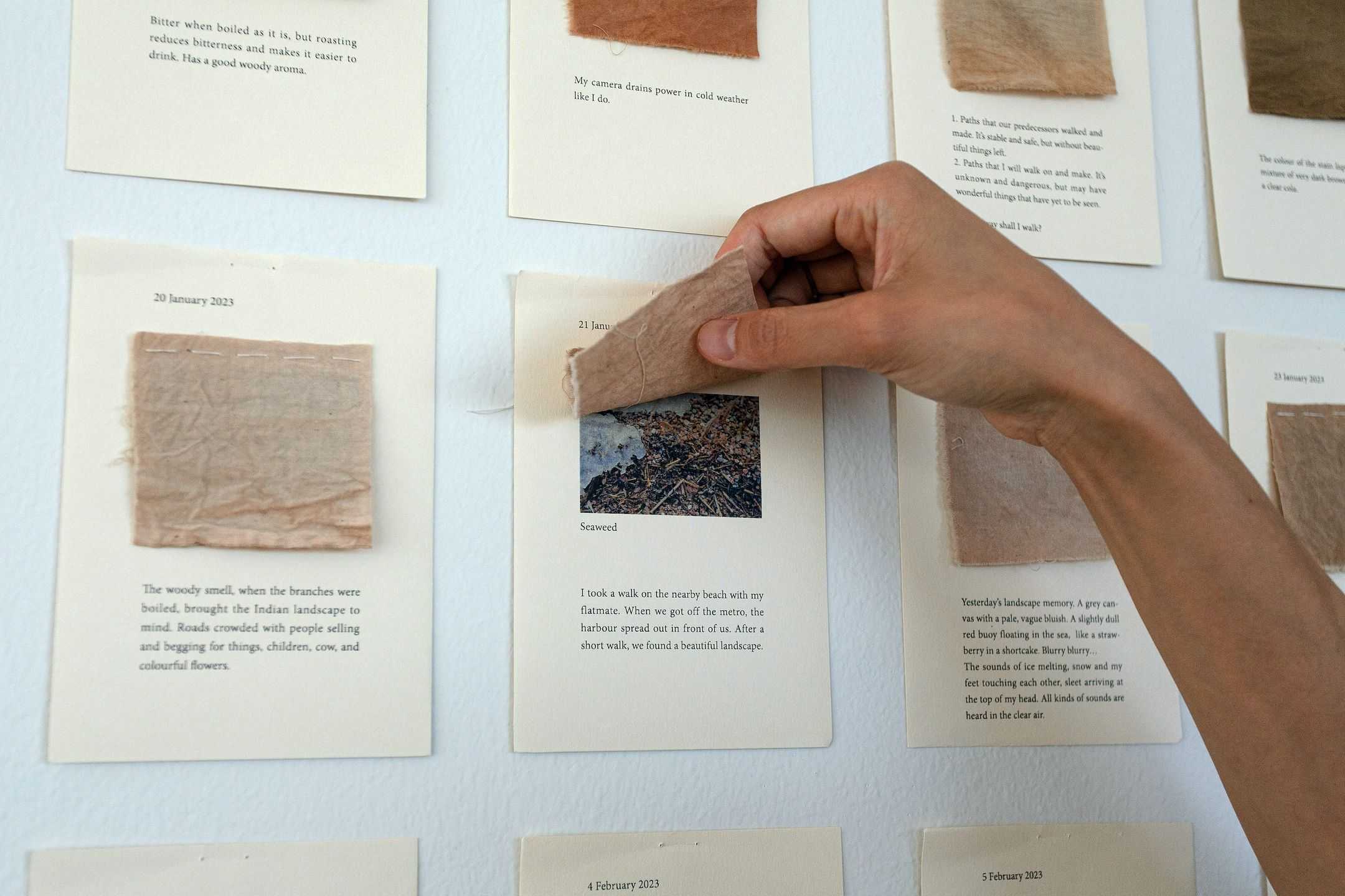 水野　渚 - Eco Emotional Footprint | 東京藝大アートフェス / TOKYO GEIDAI ARTFESの作品画像 | 2枚目