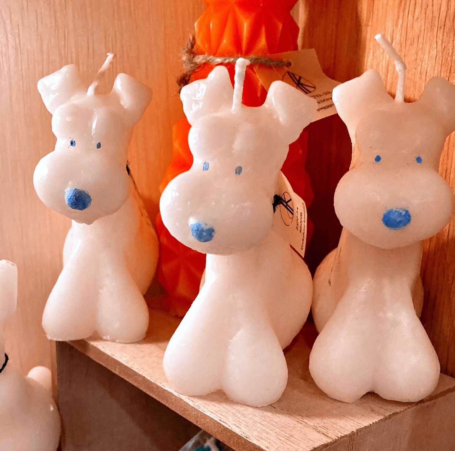 Studiok.k - The candle from the Temple | 東京藝大アートフェス / TOKYO GEIDAI ARTFESの作品画像 | 5枚目