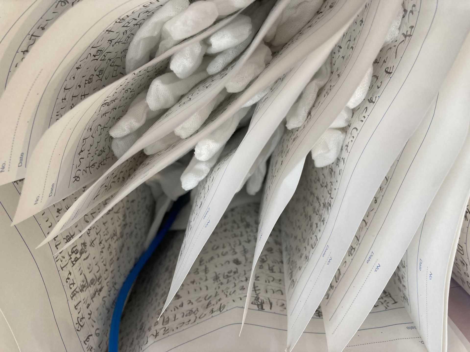 大谷　理佳子 - ◯ | 東京藝大アートフェス / TOKYO GEIDAI ARTFESの作品画像 | 4枚目