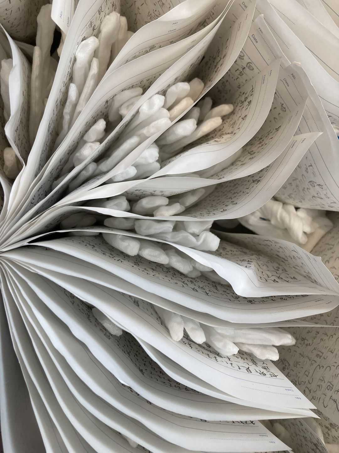 大谷　理佳子 - ◯ | 東京藝大アートフェス / TOKYO GEIDAI ARTFESの作品画像 | 6枚目