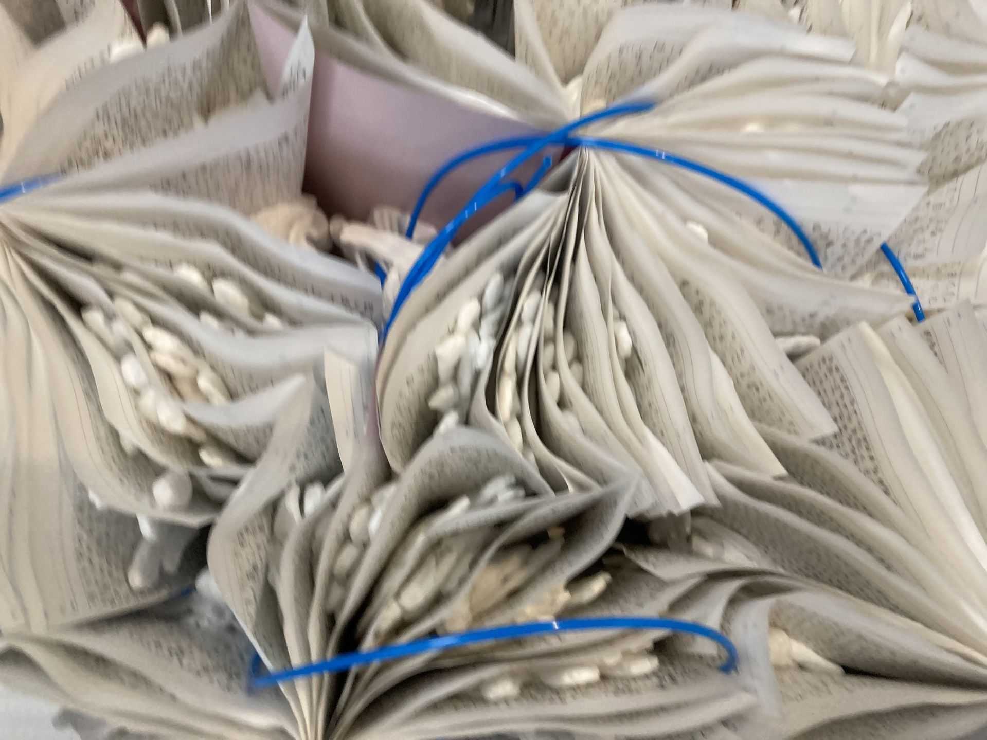 大谷　理佳子 - ◯ | 東京藝大アートフェス / TOKYO GEIDAI ARTFESの作品画像 | 10枚目