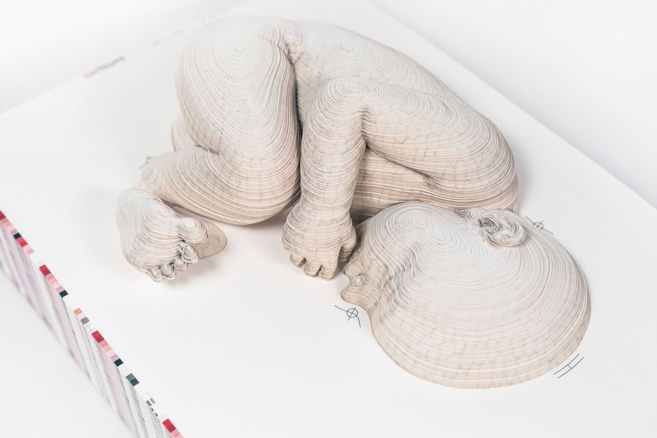 蒋 昊 - へその緒 | 東京藝大アートフェス / TOKYO GEIDAI ARTFESの作品画像 | 0枚目