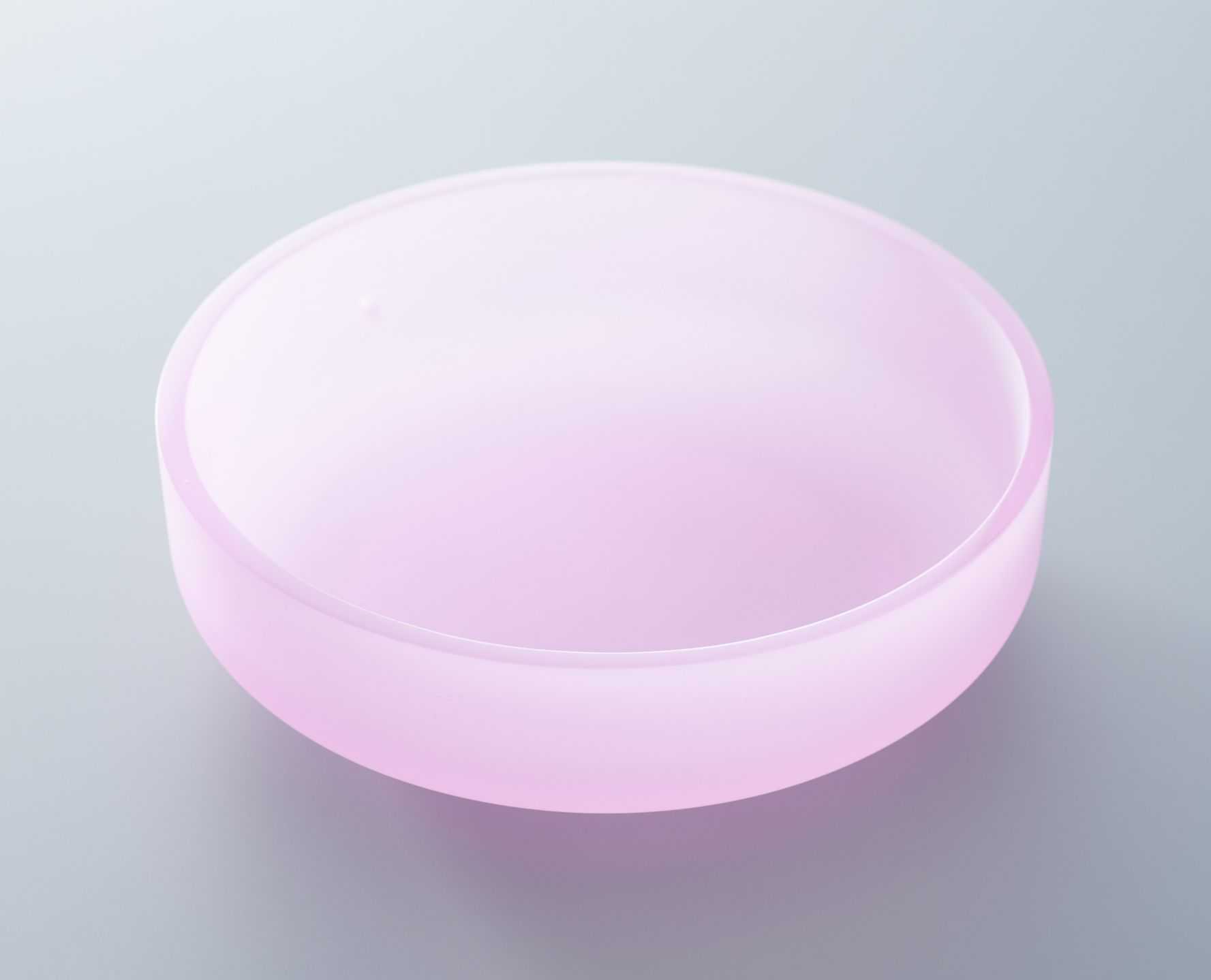 Kristyna Venturova - 花見 | 東京藝大アートフェス / TOKYO GEIDAI ARTFESの作品画像 | 1枚目